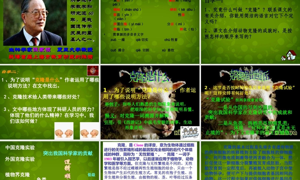 八年级语文上册 28 奇妙的克隆课件 苏教版 课件