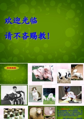 八年级语文上册 28 奇妙的克隆课件 苏教版 课件