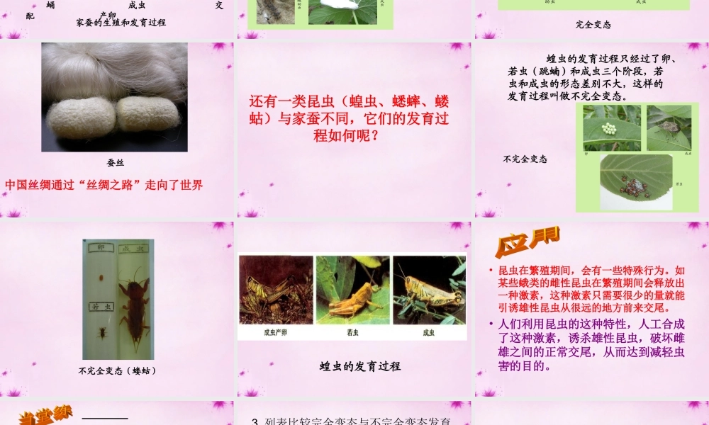 八年级生物上册 第十九章 第二节 动物的生殖和发育课件 北师大版 课件