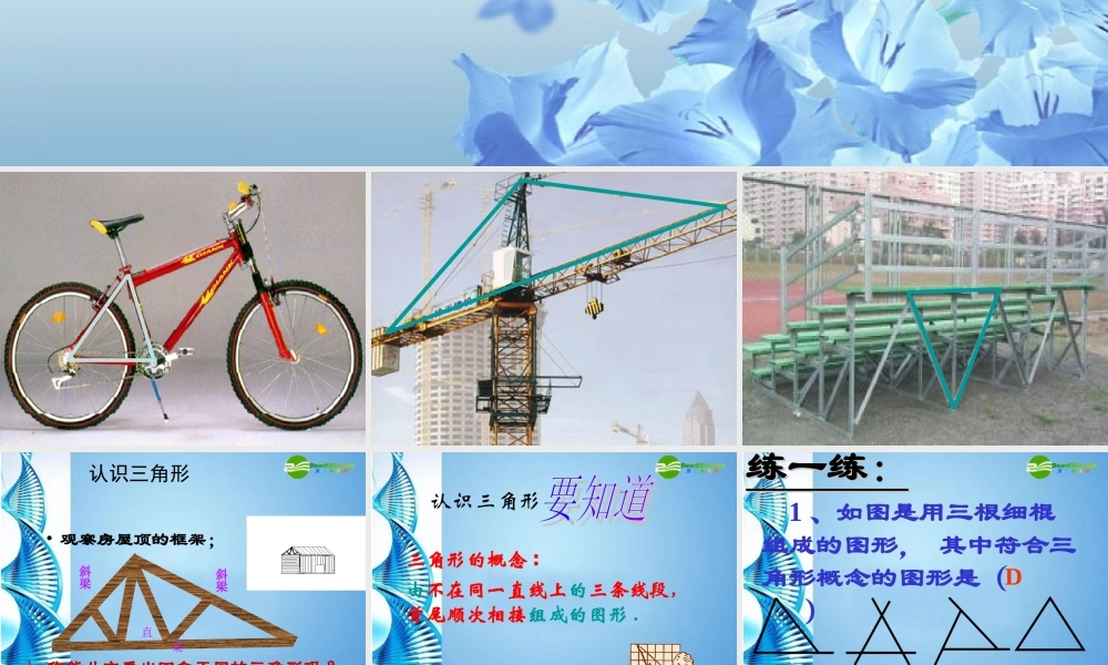 初中七年级数学下册 (认识三角形)课件 苏科版 课件