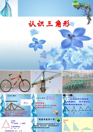 初中七年级数学下册 (认识三角形)课件 苏科版 课件