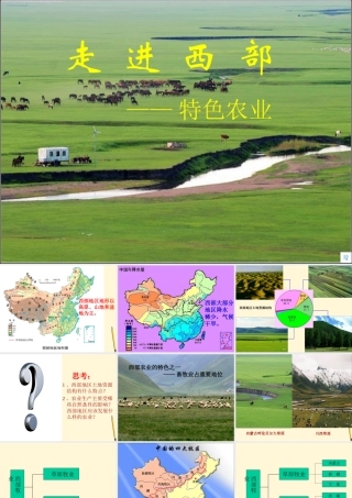 八年级地理下册 10.2(特色农业)课件 商务星球版 课件