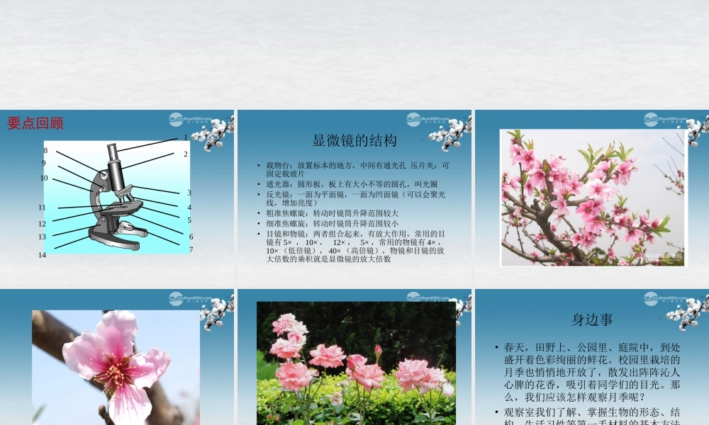 七年级生物上册 第二节 学会观察课件 冀教版 课件
