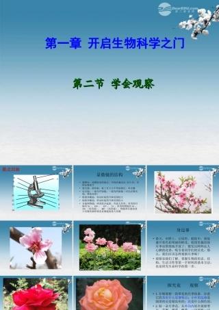 七年级生物上册 第二节 学会观察课件 冀教版 课件