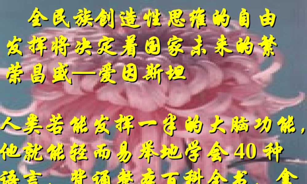 七年级语文事物的正确答案不止一个课件2 苏教版 课件