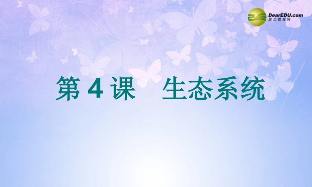 八年级生物上册 生态系统课件 新人教版 课件