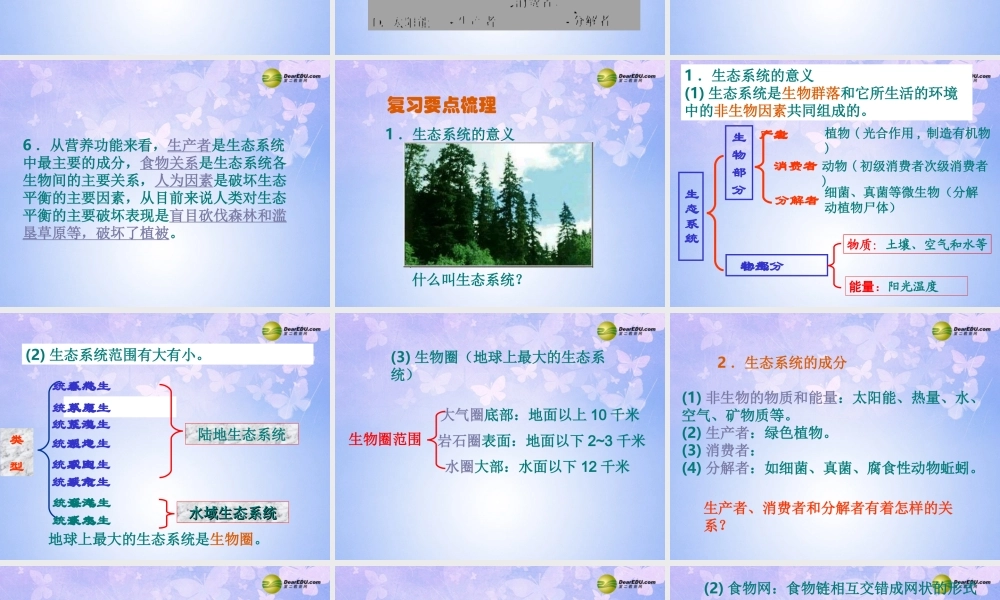 八年级生物上册 生态系统课件 新人教版 课件