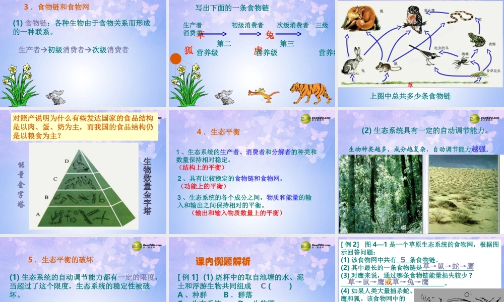 八年级生物上册 生态系统课件 新人教版 课件