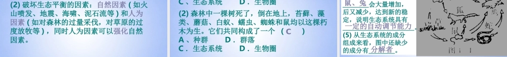 八年级生物上册 生态系统课件 新人教版 课件