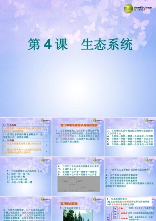 八年级生物上册 生态系统课件 新人教版 课件