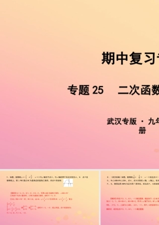 九年级数学上册 期中复习专题 专题25 二次函数中的特殊图形课件 (新版)新人教版 课件