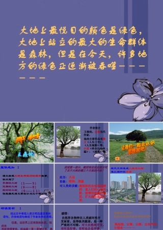 九年级语文 那树课件 新人教版 课件