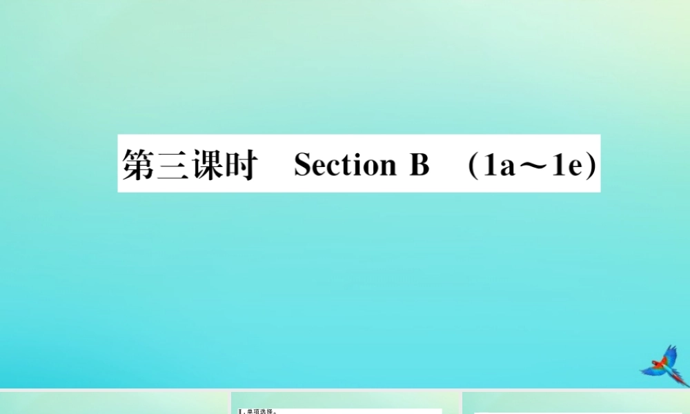 九年级英语全册 Unit 7 Teenagers should be allowed to choose their own clothes(第3课时)习题课件 (新版)人教新目标版 课件