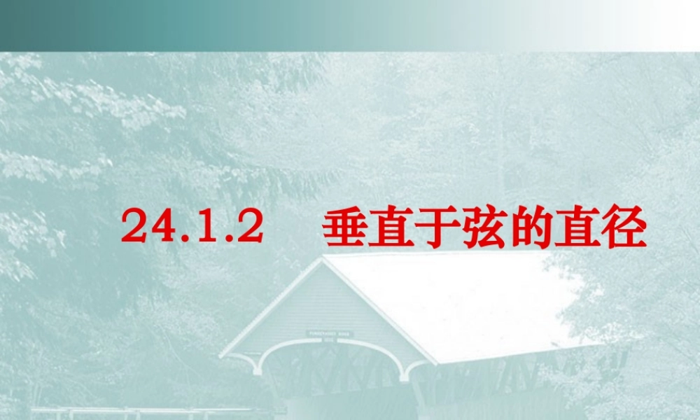 垂直于弦的直径 人教版 课件