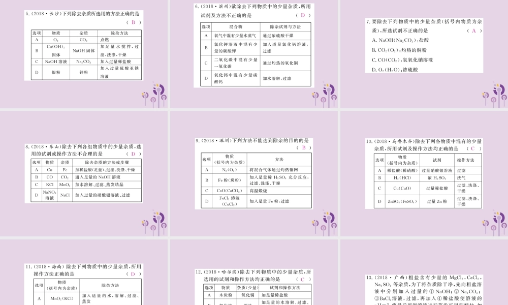 中考化学一轮复习 第2部分 板块归类 板块5 科学探究 第3课时 物质的分离与除杂课件
