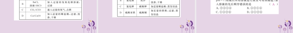 中考化学一轮复习 第2部分 板块归类 板块5 科学探究 第3课时 物质的分离与除杂课件