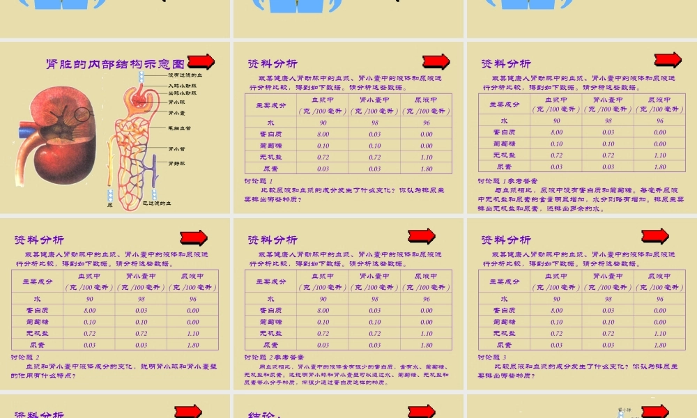 七年级生物第一节  尿的形成和排出课件