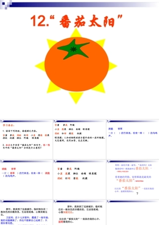 《番茄太阳》1