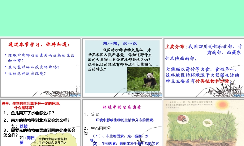 第一单元第二章第一节生物与环境的关系