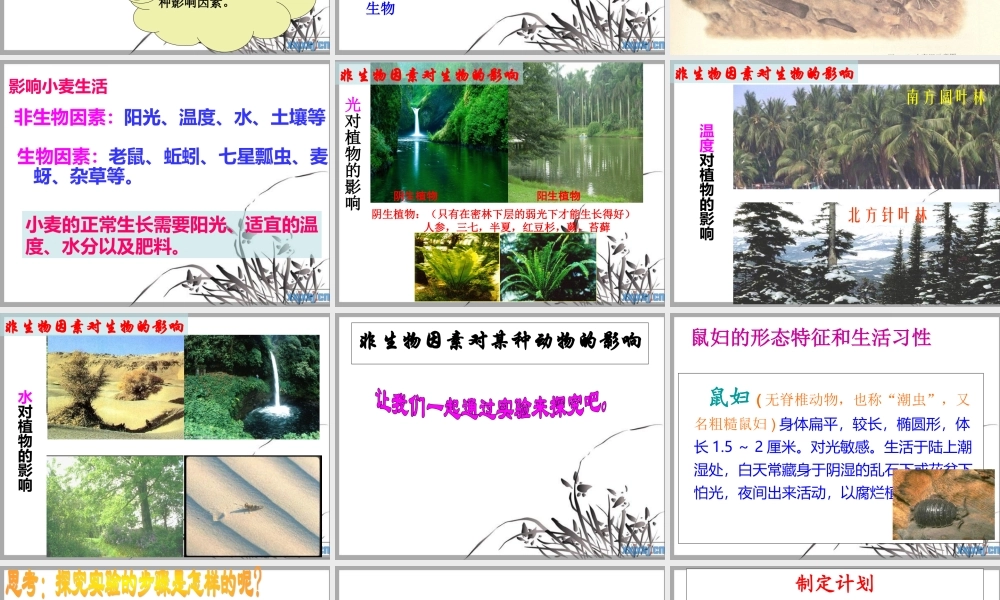 第一单元第二章第一节生物与环境的关系