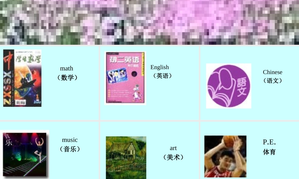 山东省新目标英语七年级(上)Unit12教学课件 新目标 课件