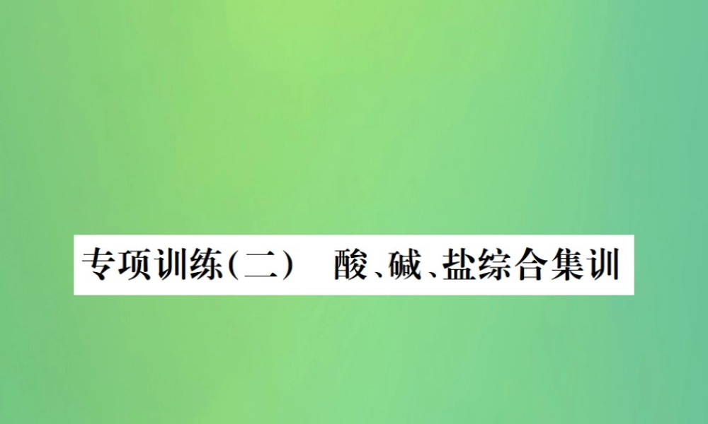 中考化学总复习 专项训练(二)酸碱盐综合集训课件