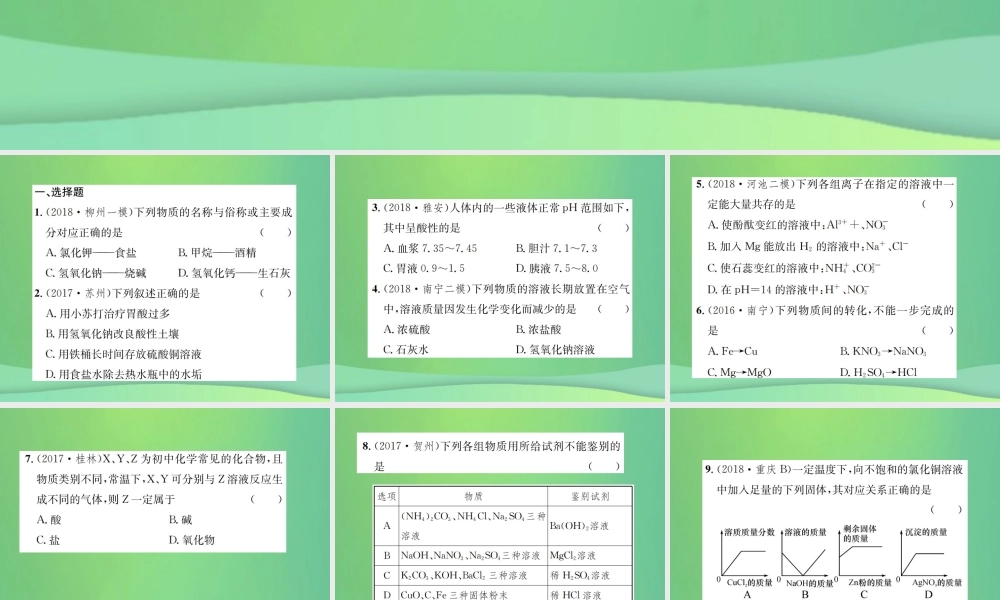 中考化学总复习 专项训练(二)酸碱盐综合集训课件