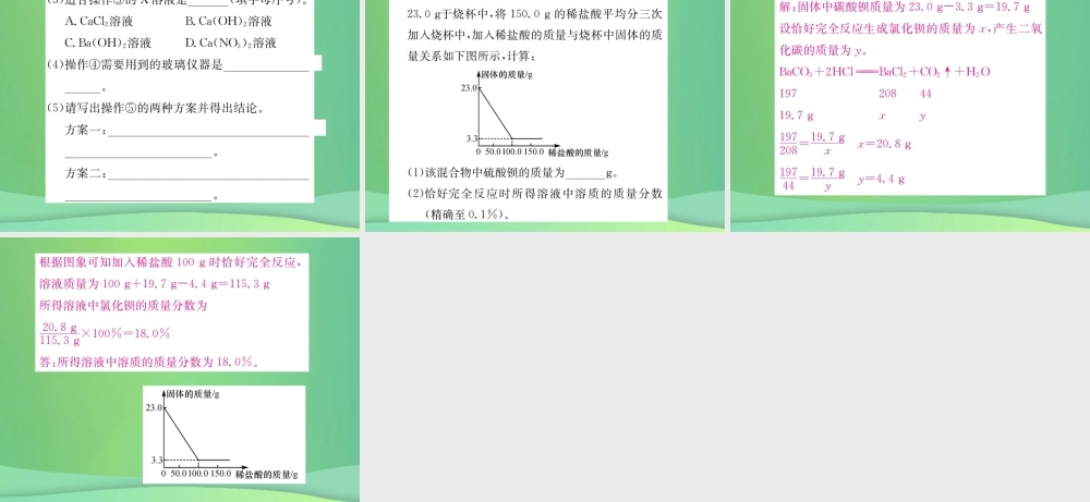 中考化学总复习 专项训练(二)酸碱盐综合集训课件