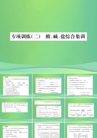 中考化学总复习 专项训练(二)酸碱盐综合集训课件
