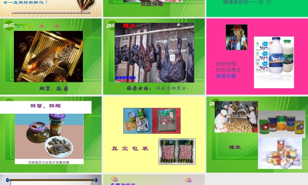 八年级生物 食品贮存课件 济南版 课件