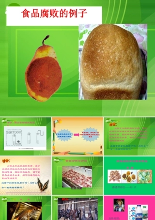 八年级生物 食品贮存课件 济南版 课件