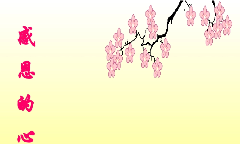 中学主题班会 母亲节 感恩的心课件