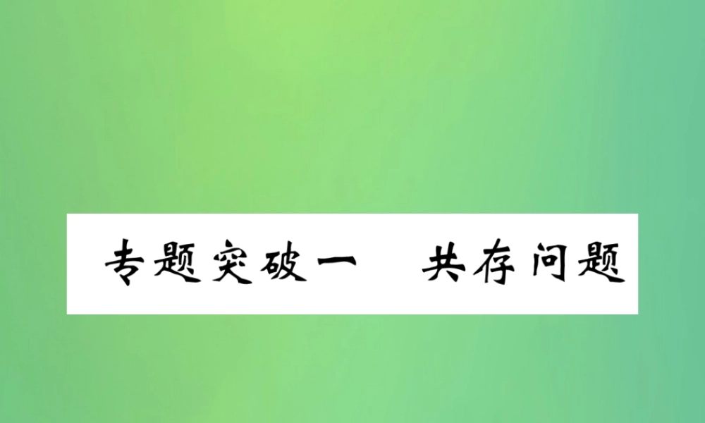 中考化学毕业总复习 第2编 重点专题突破篇 专题突破1 共存问题课件