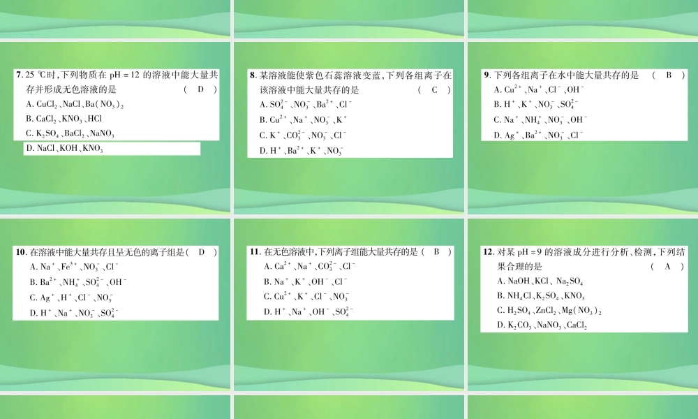 中考化学毕业总复习 第2编 重点专题突破篇 专题突破1 共存问题课件