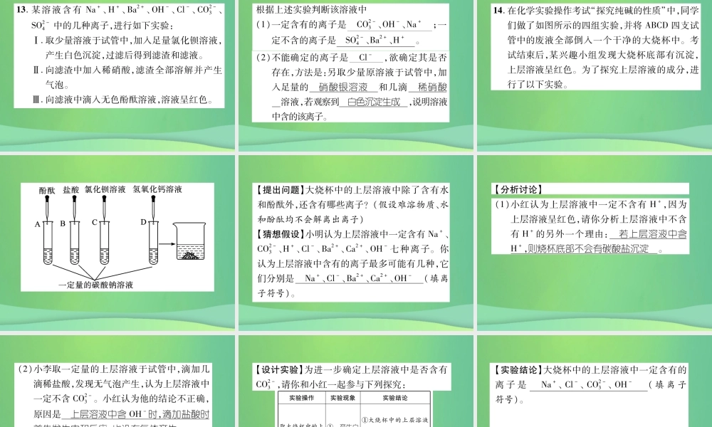 中考化学毕业总复习 第2编 重点专题突破篇 专题突破1 共存问题课件
