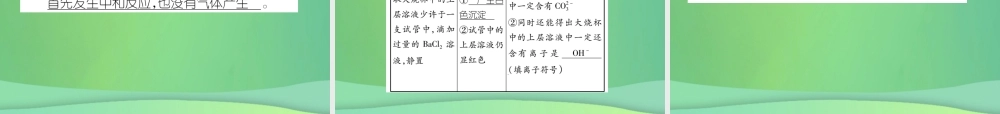 中考化学毕业总复习 第2编 重点专题突破篇 专题突破1 共存问题课件