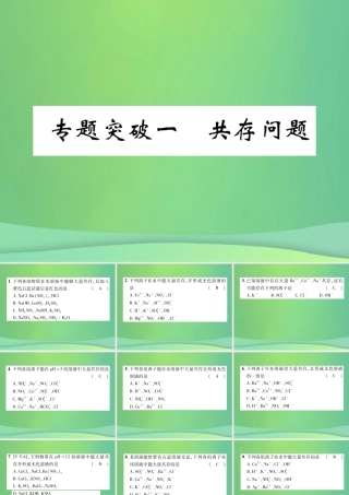 中考化学毕业总复习 第2编 重点专题突破篇 专题突破1 共存问题课件