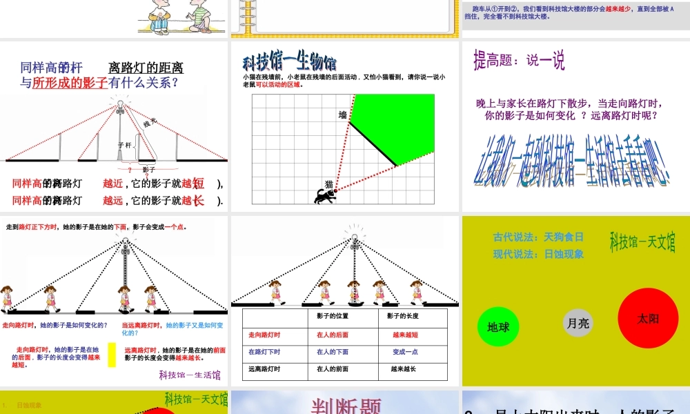 北师大版数学六年级上册《观察的范围》2课件