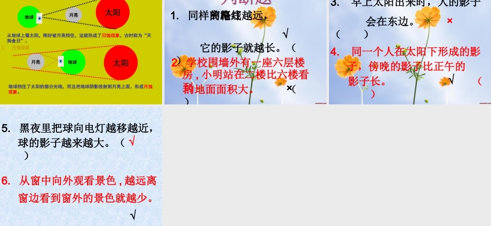 北师大版数学六年级上册《观察的范围》2课件