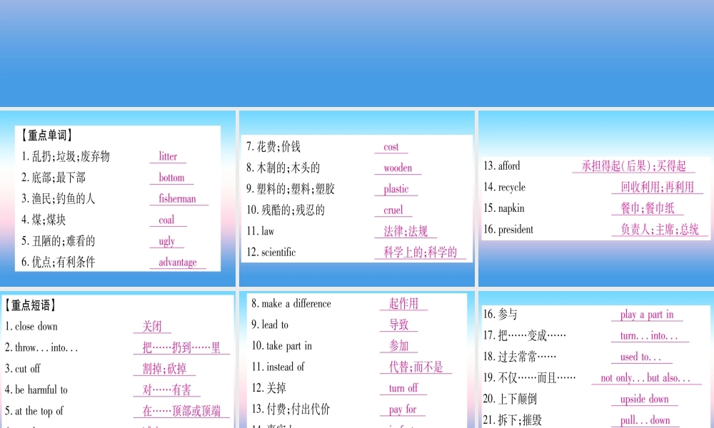 九年级英语全册 Unit 13 We re trying to save the earth知识复习自测课堂导练课件(含中考真题)(新版)人教新目标版 课件
