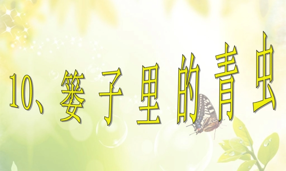 二年级课文篓子里的青虫
