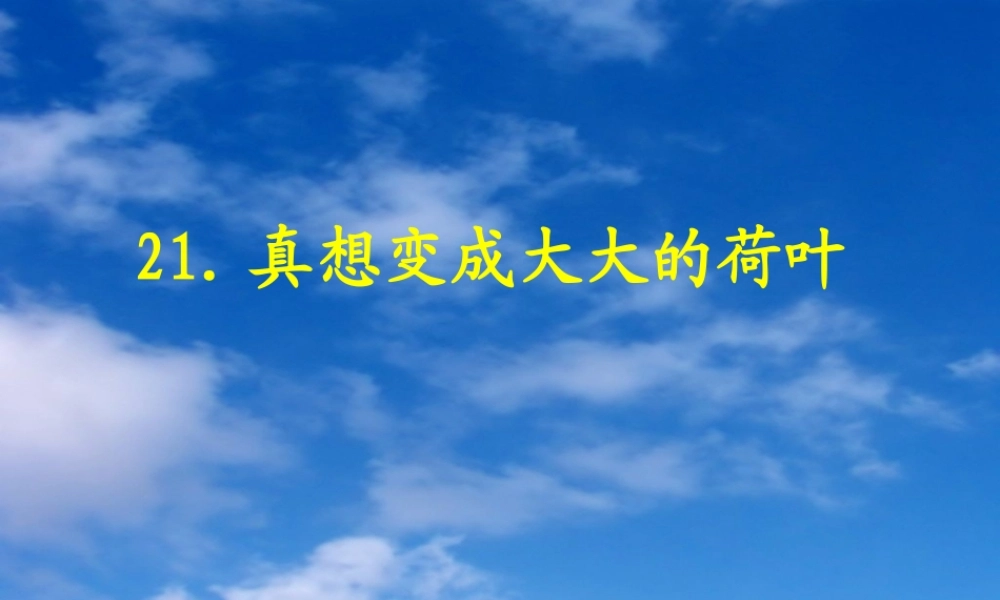 李叶丽课件——21真想变成大大的荷叶