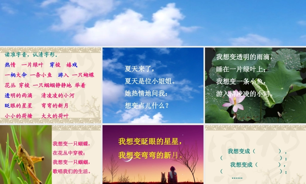 李叶丽课件——21真想变成大大的荷叶
