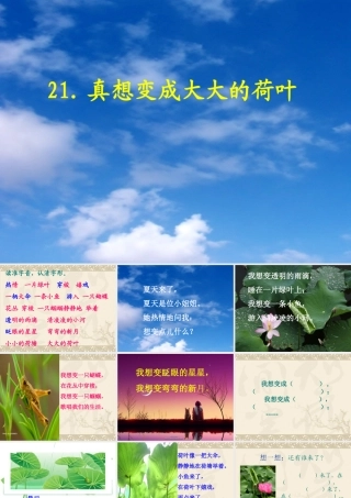 李叶丽课件——21真想变成大大的荷叶
