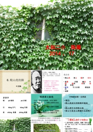 课件6课爬山虎的脚