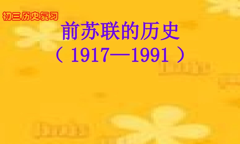九年级历史苏联的历史的课件 新课标 人教版 课件
