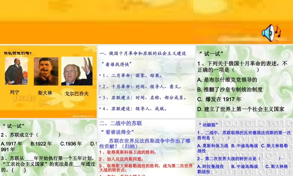 九年级历史苏联的历史的课件 新课标 人教版 课件