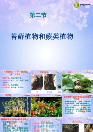 中学七年级生物上册 苔藓蕨类课件 鲁科版 课件