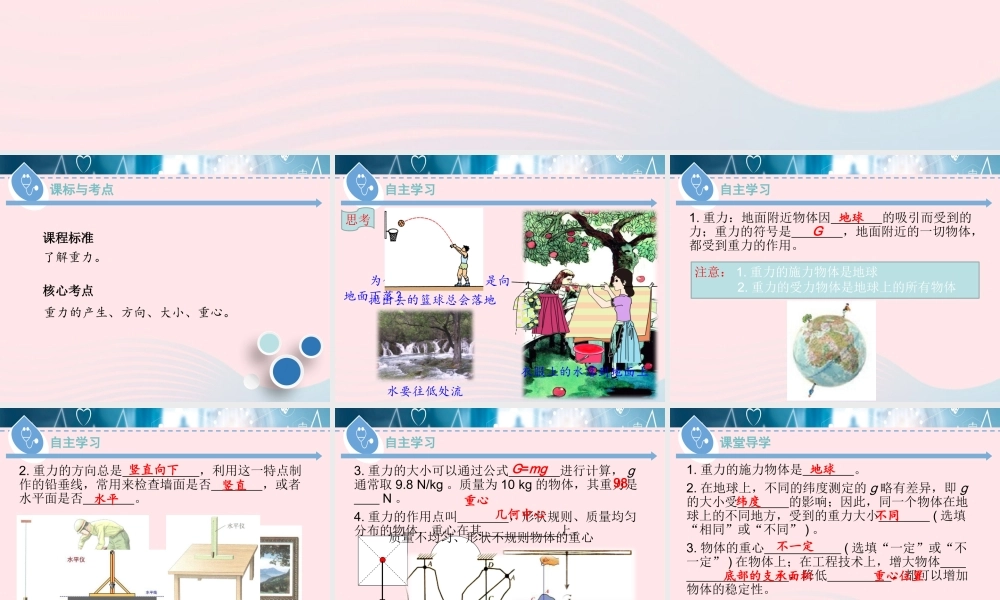 八年级物理下册 6.3 重力课件 (新版)粤教沪版 课件-2
