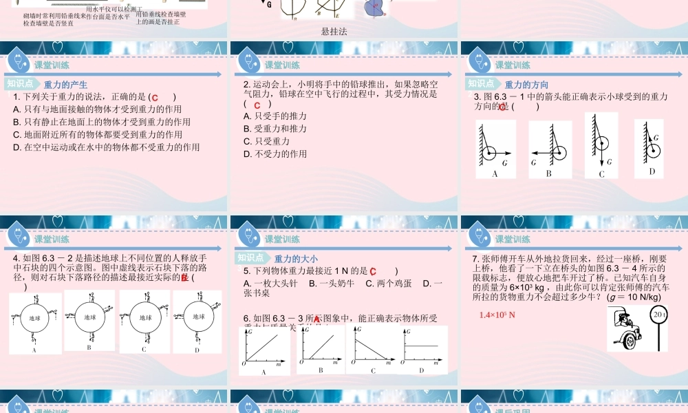 八年级物理下册 6.3 重力课件 (新版)粤教沪版 课件-2